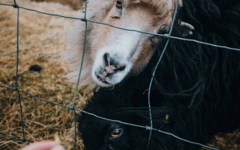 Podzimní Faerské ostrovy