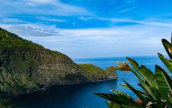 Madeira & low cost