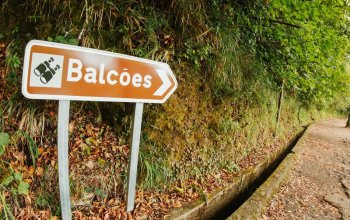Madeira & low cost