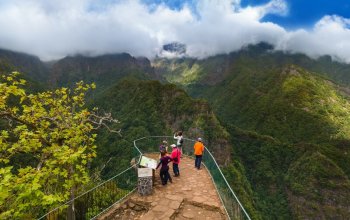Madeira & low cost