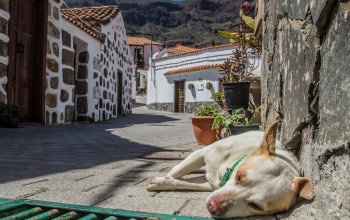 Gran Canaria: 8denní cesta