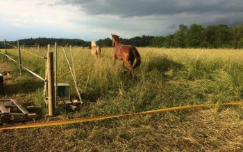 Den na ranči pro milovnici koní