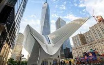 Top v New Yorku + NHL se zastávkou v Londýně