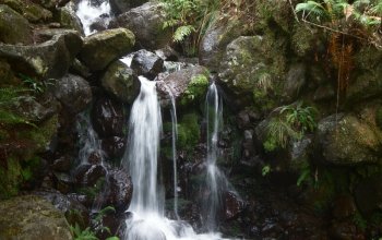 Autentická Madeira