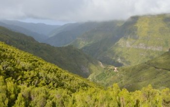 Madeira