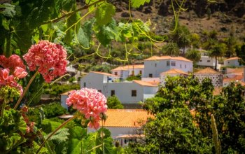 Gran Canaria: 8denní cesta