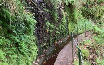 Madeira dopodrobna