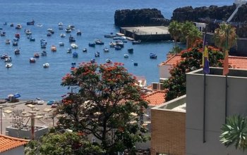 Madeira dopodrobna
