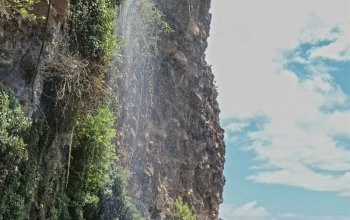 Madeira dopodrobna