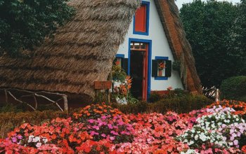 Madeira dopodrobna