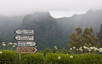 Madeira dopodrobna