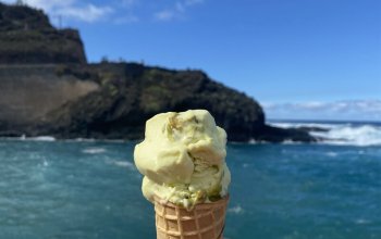 The best of Tenerife