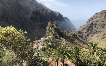 The best of Tenerife