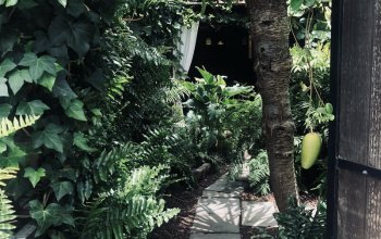 The best of Tenerife