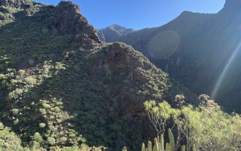 The best of Tenerife
