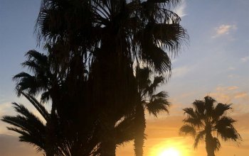 The best of Tenerife