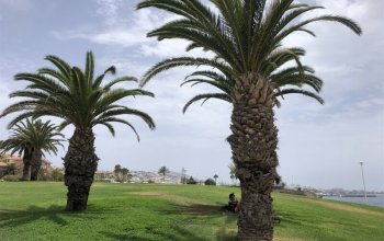 The best of Tenerife