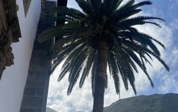 The best of Tenerife