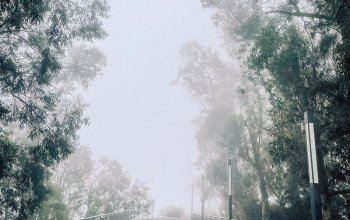 Madeira