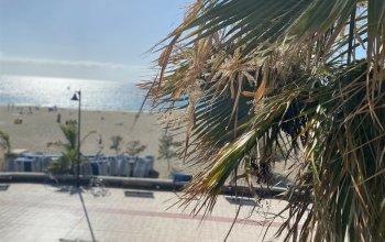 Tenerife