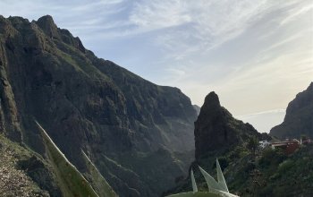 Tenerife