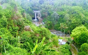 Top Insta Bali