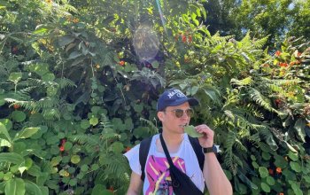 Good Food & Wine Tour na Madeiře