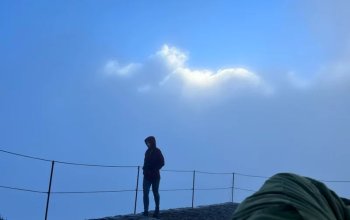 Good Food & Wine Tour na Madeiře