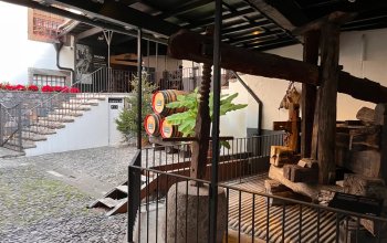 Good Food & Wine Tour na Madeiře