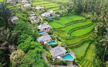 Kapr na Bali