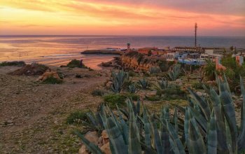 Yoga & Surf Adventure ~ Maroko