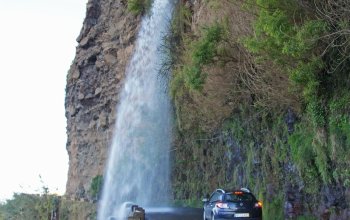 Madeira so spisovateľkou