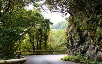 Tenerife a sport