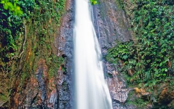 Zážitková Dominika