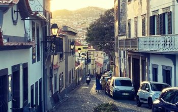 Madeira dopodrobna