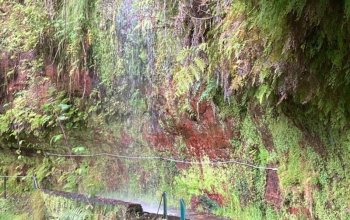 Madeira dopodrobna