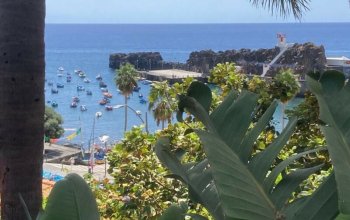 Madeira dopodrobna