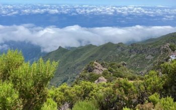 Madeira dopodrobna