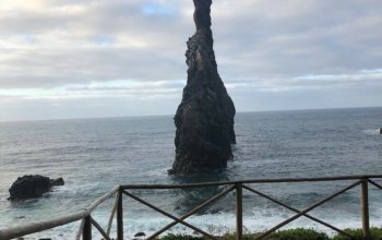Madeira dopodrobna