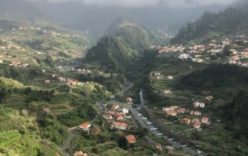 Madeira dopodrobna