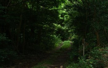 Zážitková Dominika