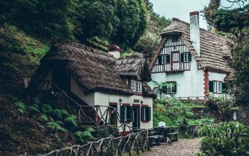 Vegan Friendly Tour Madeira