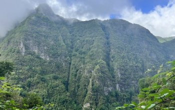 Vegan Friendly Tour Madeira