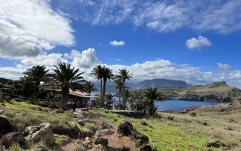 Vegan Friendly Tour Madeira