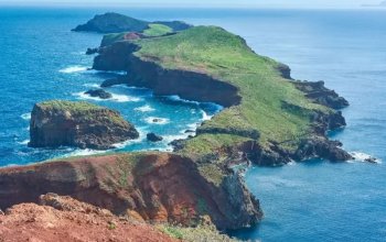 Vegan Friendly Tour Madeira