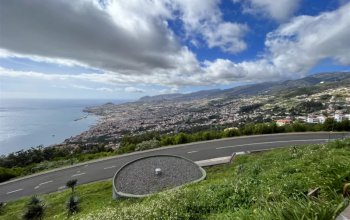 Vegan Friendly Tour Madeira