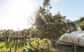 Vegan Friendly Tour Madeira