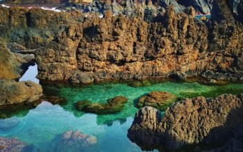 Vegan Friendly Tour Madeira