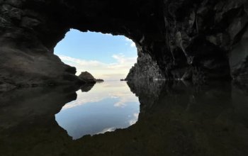 Vegan Friendly Tour Madeira