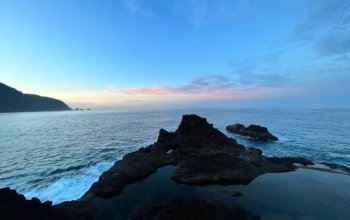 Vegan Friendly Tour Madeira